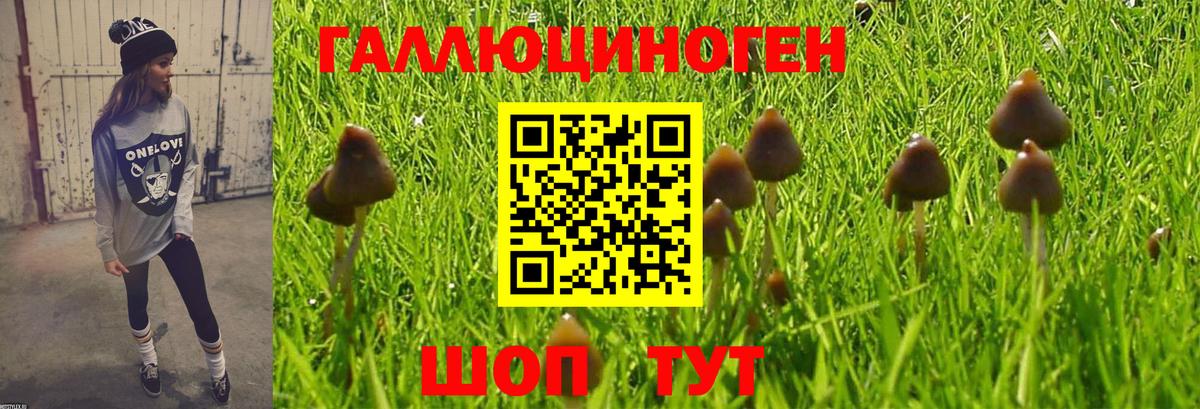 Галлюциногенные грибы GOLDEN TEACHER Бутурлиновка